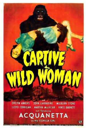 Captive Wild Woman (1943), One Sheet (27'' x 41'').